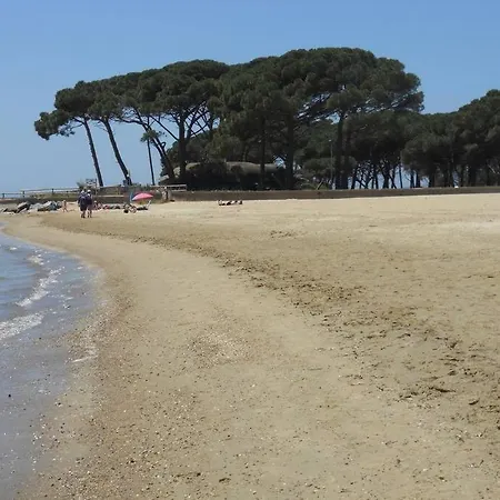 Les Pieds Dans L'eau
